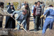 گزارش تصویری |  آیین غرس نهال و تجلیل از پرسنل زحمتکش فضای سبز و باغبانی دانشگاه صنعتی شاهرود 